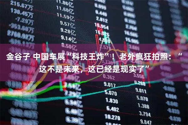 金谷子 中国车展“科技王炸”！老外疯狂拍照：“这不是未来，这已经是现实了”