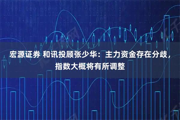 宏源证券 和讯投顾张少华：主力资金存在分歧，指数大概将有所调整
