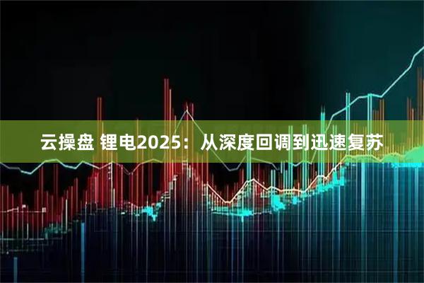 云操盘 锂电2025：从深度回调到迅速复苏